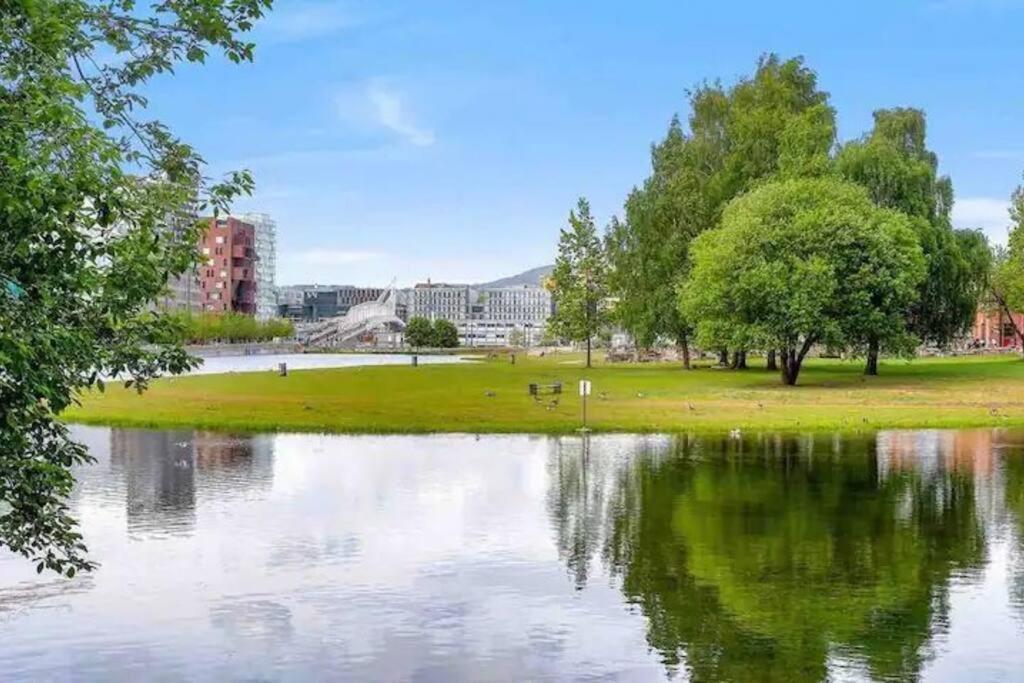 Moderne Sentrumsleilighet * Осло